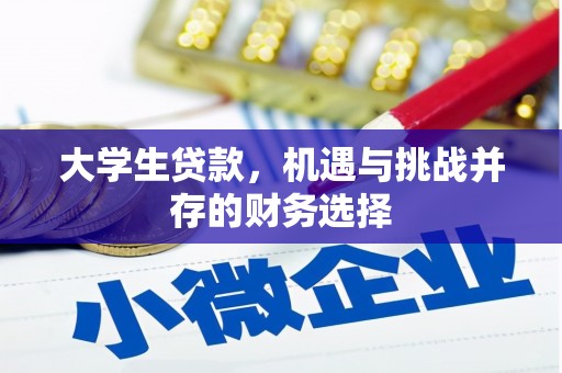 沿滩大学生贷款，机遇与挑战并存的财务选择