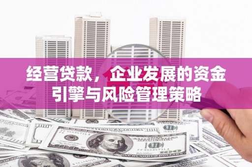 沿滩经营贷款，企业发展的资金引擎与风险管理策略