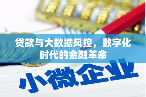 沿滩贷款与大数据风控，数字化时代的金融革命