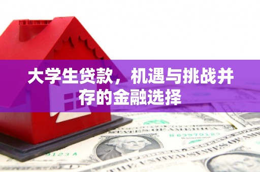 沿滩大学生贷款，机遇与挑战并存的金融选择