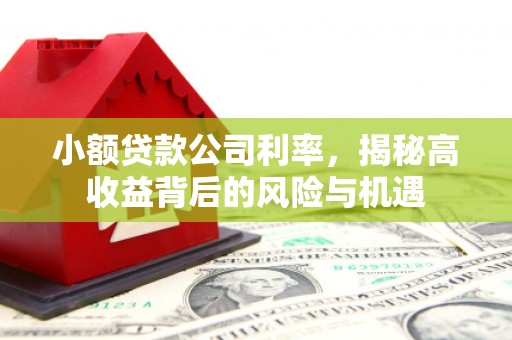 沿滩小额贷款公司利率，揭秘高收益背后的风险与机遇