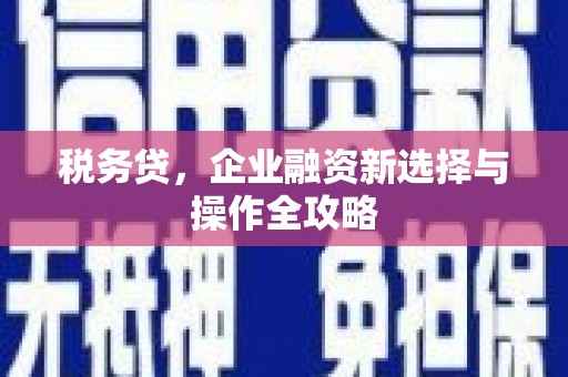 沿滩税务贷，企业融资新选择与操作全攻略