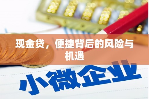 沿滩现金贷，便捷背后的风险与机遇