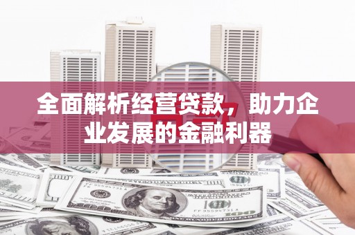沿滩全面解析经营贷款，助力企业发展的金融利器