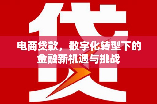 沿滩电商贷款，数字化转型下的金融新机遇与挑战