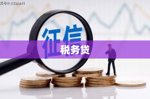 沿滩税务贷