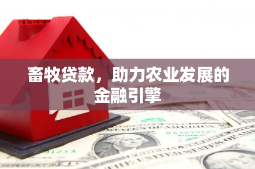 沿滩畜牧贷款，助力农业发展的金融引擎