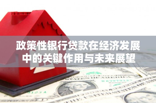 沿滩政策性银行贷款在经济发展中的关键作用与未来展望