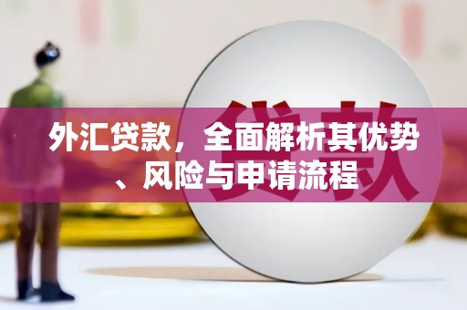 沿滩外汇贷款，全面解析其优势、风险与申请流程