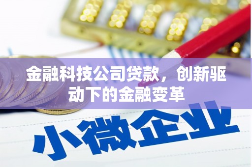 沿滩金融科技公司贷款，创新驱动下的金融变革