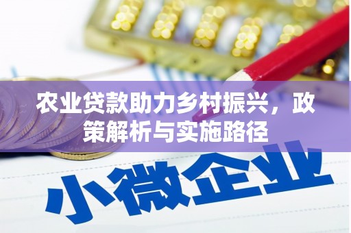 沿滩农业贷款助力乡村振兴，政策解析与实施路径