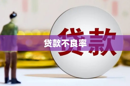 沿滩贷款不良率