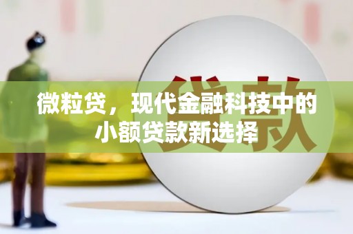 沿滩微粒贷，现代金融科技中的小额贷款新选择