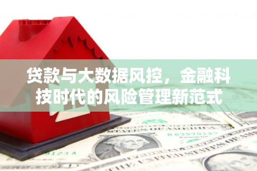 沿滩贷款与大数据风控，金融科技时代的风险管理新范式