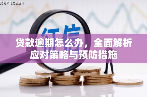 沿滩贷款逾期怎么办，全面解析应对策略与预防措施