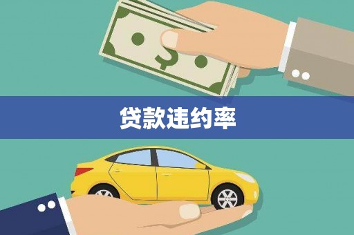 沿滩贷款违约率