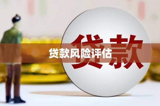 沿滩贷款风险评估