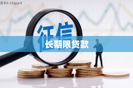 沿滩长期限贷款