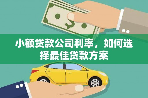 沿滩小额贷款公司利率，如何选择最佳贷款方案