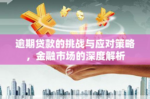 沿滩逾期贷款的挑战与应对策略，金融市场的深度解析