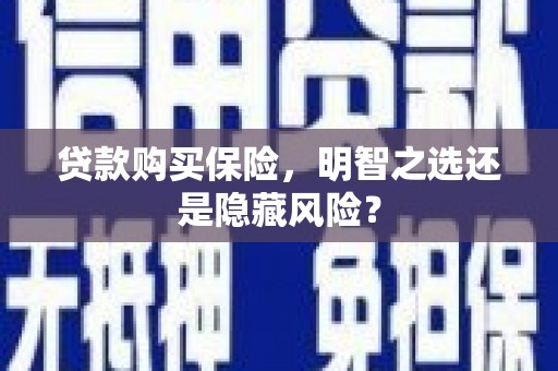 沿滩贷款购买保险，明智之选还是隐藏风险？