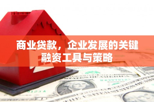 沿滩商业贷款，企业发展的关键融资工具与策略