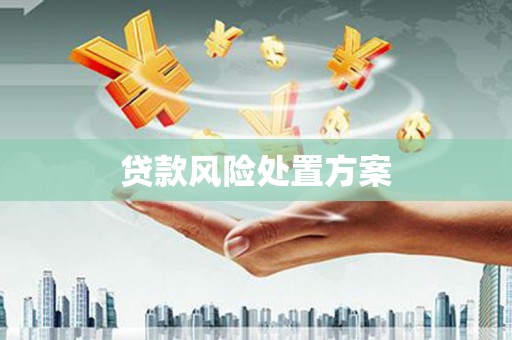 沿滩贷款风险处置方案
