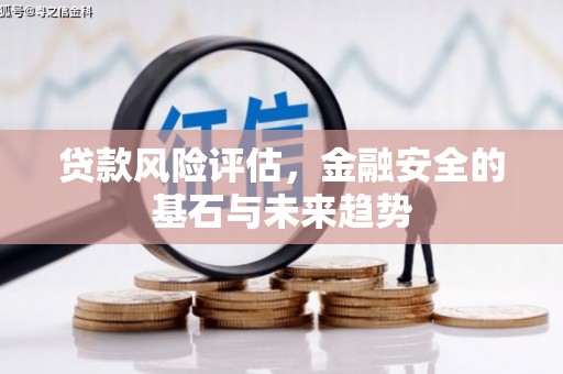 沿滩贷款风险评估，金融安全的基石与未来趋势