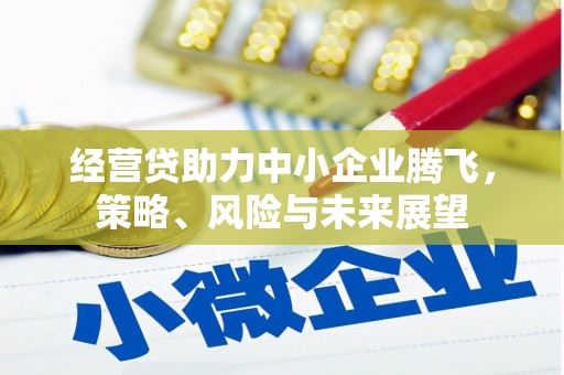 沿滩经营贷助力中小企业腾飞，策略、风险与未来展望
