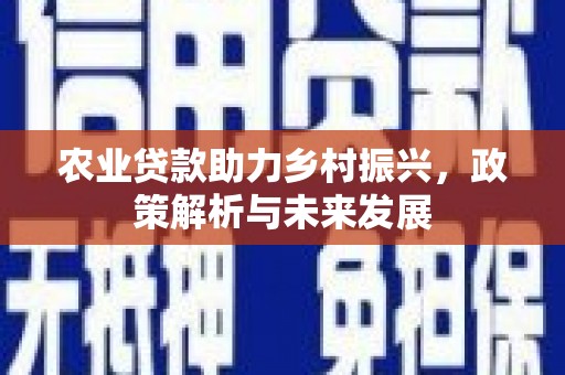 沿滩农业贷款助力乡村振兴，政策解析与未来发展