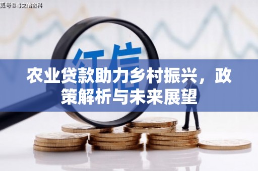 沿滩农业贷款助力乡村振兴，政策解析与未来展望