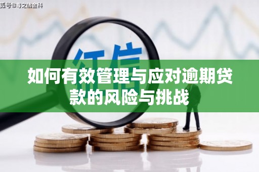 沿滩如何有效管理与应对逾期贷款的风险与挑战