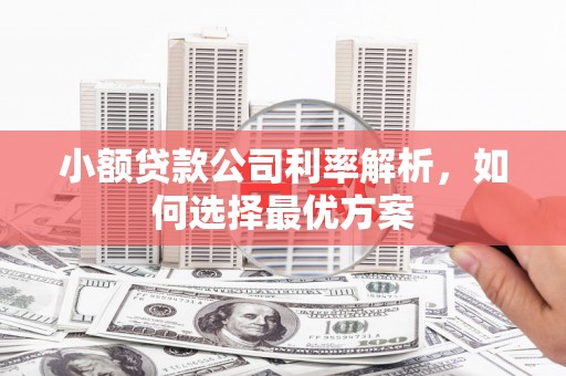 沿滩小额贷款公司利率解析，如何选择最优方案