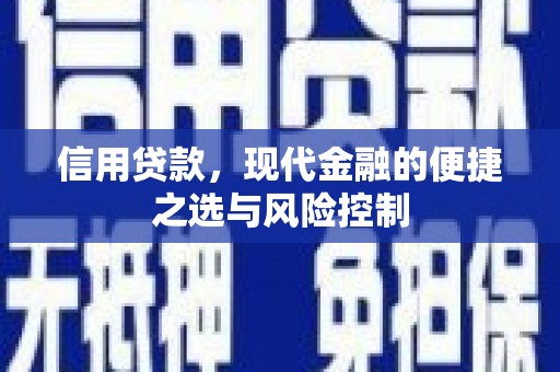 沿滩信用贷款，现代金融的便捷之选与风险控制