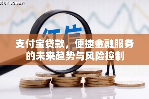 沿滩支付宝贷款，便捷金融服务的未来趋势与风险控制
