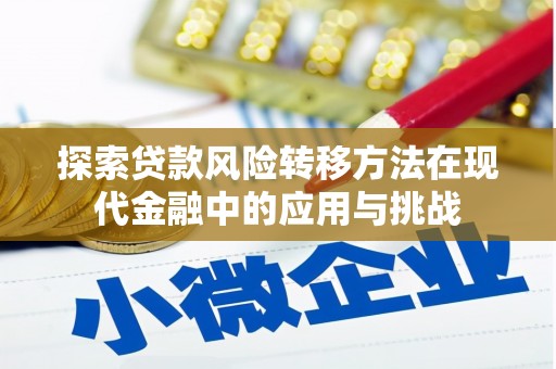 沿滩探索贷款风险转移方法在现代金融中的应用与挑战