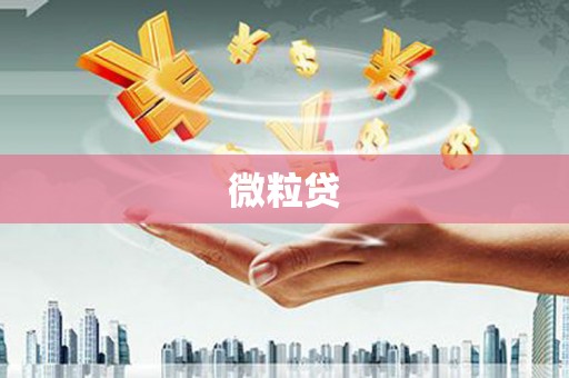 沿滩微粒贷