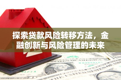 沿滩探索贷款风险转移方法，金融创新与风险管理的未来