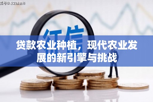 沿滩贷款农业种植，现代农业发展的新引擎与挑战
