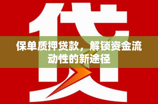 沿滩保单质押贷款，解锁资金流动性的新途径