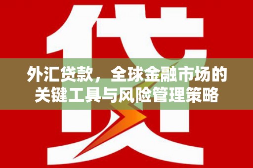 沿滩外汇贷款，全球金融市场的关键工具与风险管理策略