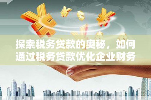 沿滩探索税务贷款的奥秘，如何通过税务贷款优化企业财务