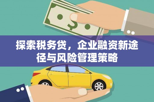 沿滩探索税务贷，企业融资新途径与风险管理策略