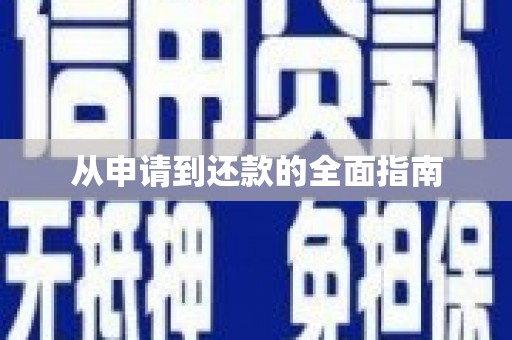沿滩从申请到还款的全面指南