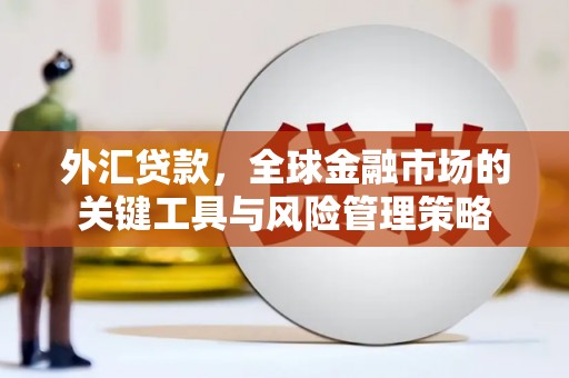 沿滩外汇贷款，全球金融市场的关键工具与风险管理策略