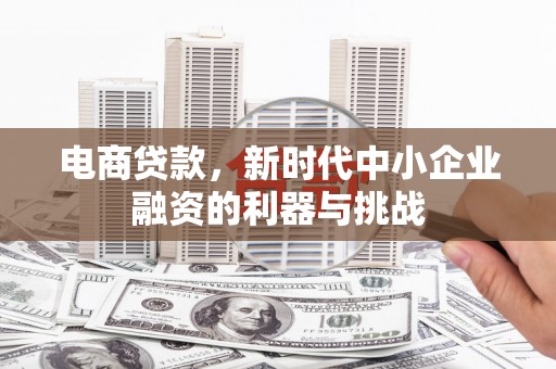 沿滩电商贷款，新时代中小企业融资的利器与挑战