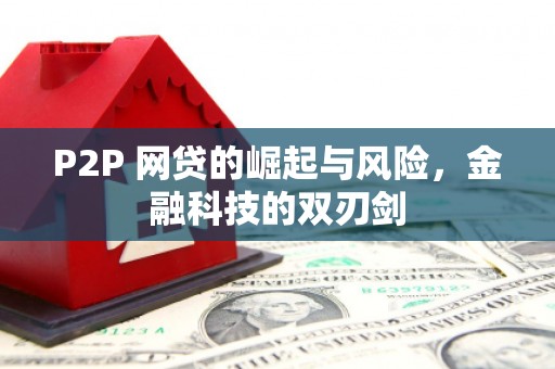 沿滩P2P 网贷的崛起与风险，金融科技的双刃剑