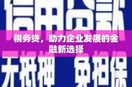 沿滩税务贷，助力企业发展的金融新选择