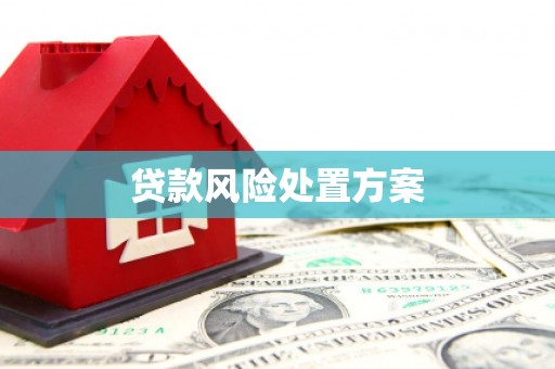 沿滩贷款风险处置方案