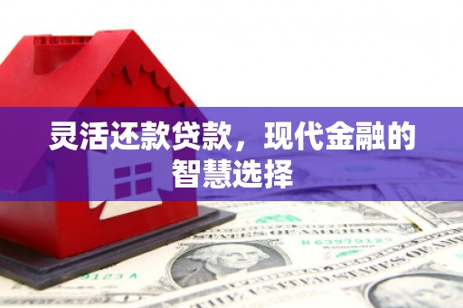 沿滩灵活还款贷款，现代金融的智慧选择